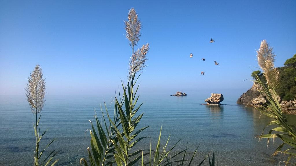 Yaliskari Beach Pelekas Luaran gambar